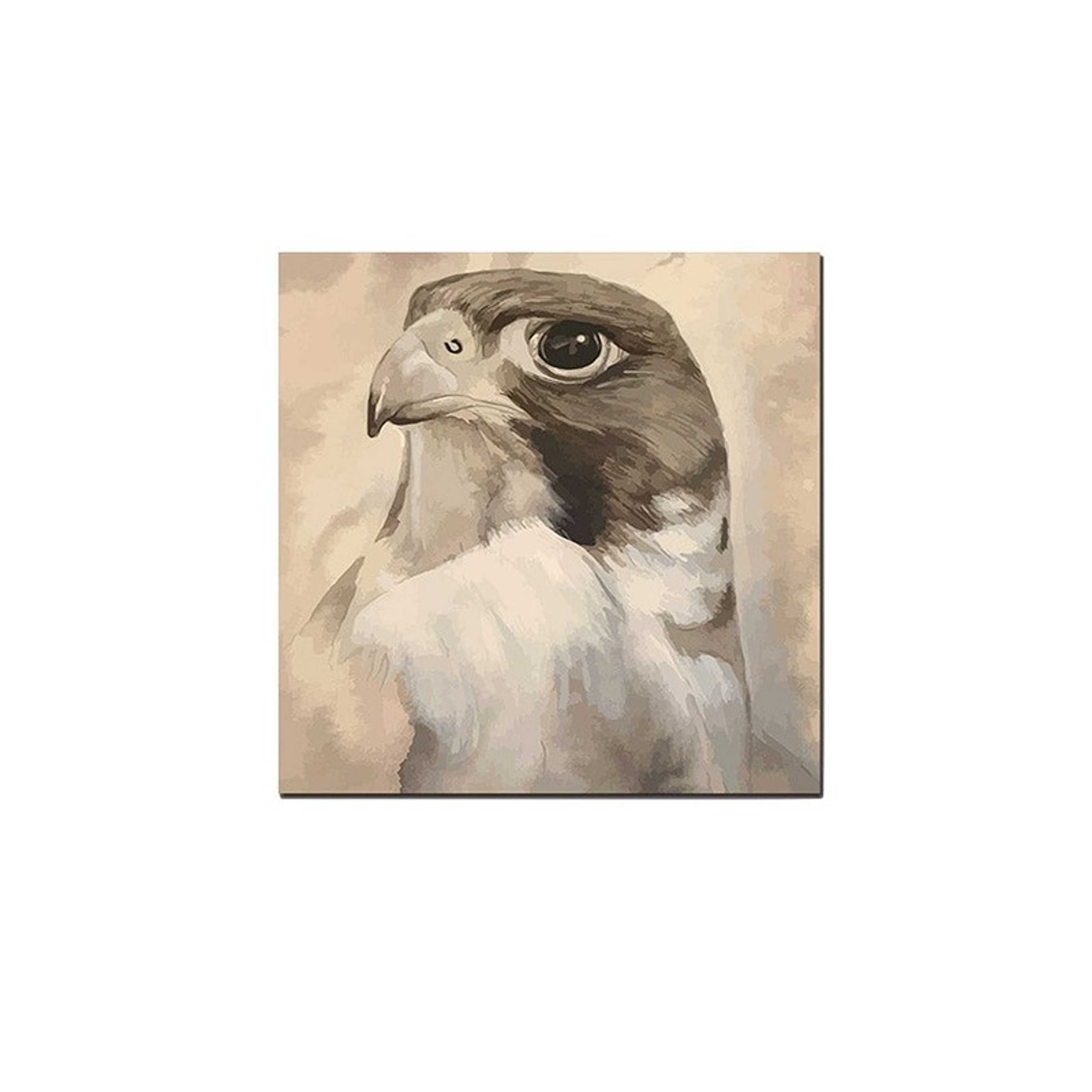 Falcon Wall Art Painting Beige/Grey/White 30 x 30cm - Product Main Image